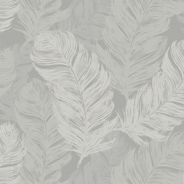 Wallpaper grey Feathers-206597