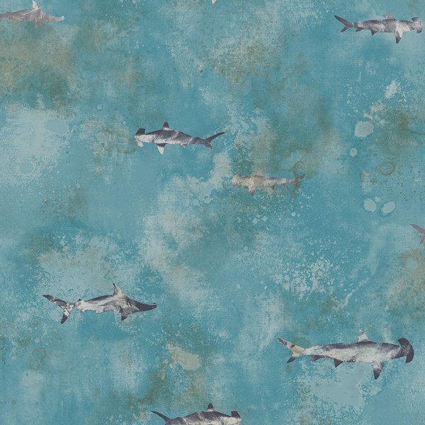 Wallpaper turquoise Sharks-417365