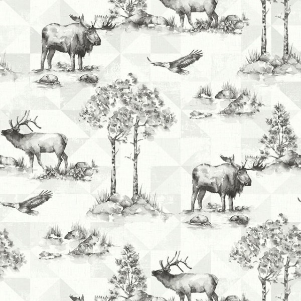 Wallpaper white Alaska Moose-631563