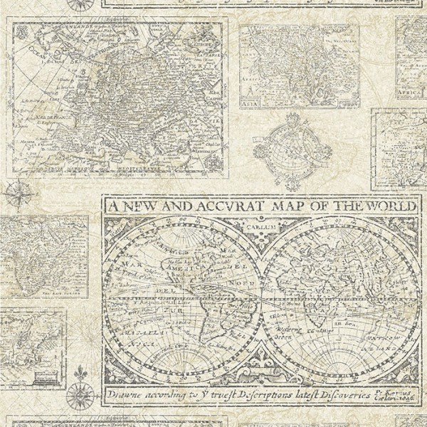 Design Wallcoverings Map Of The World-89C959