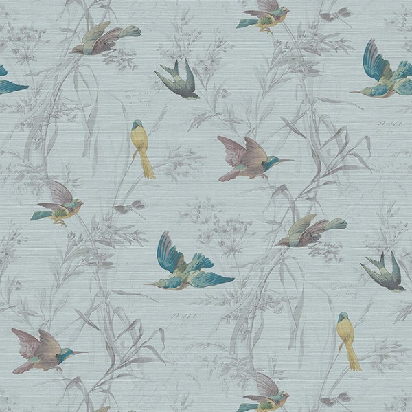 Wallpaper turquoise Birds Of Paradise-212034