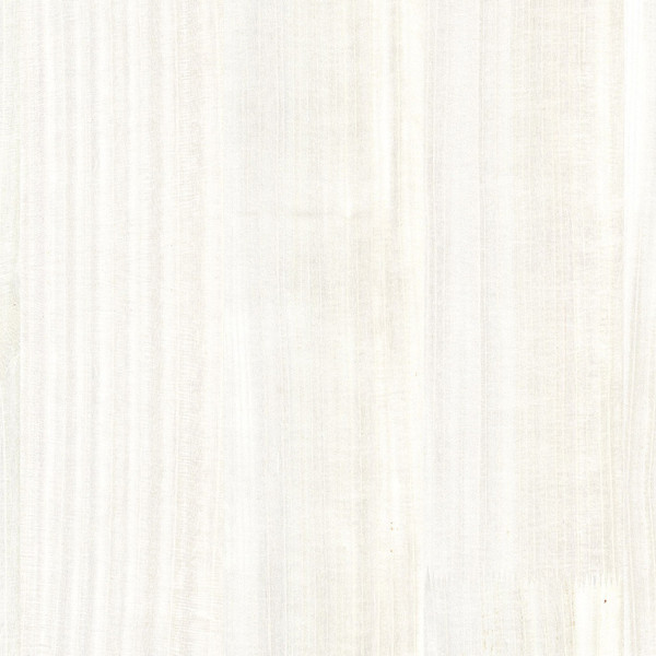 Wallpaper white Veneer Plain-403626