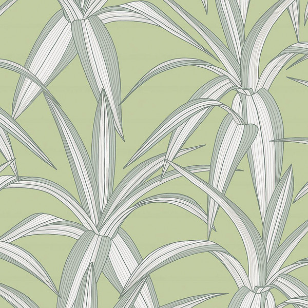 Peel and Stick Wallpaper Tossed Cradle Plant-358447