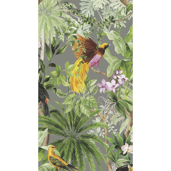 Selbstklebende Tapeten Tropical Bird-291664