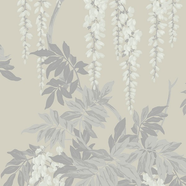 Wallpaper grey Wisteria-867567